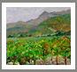 Art, landscapes and paintings, gallery of artist Carolyn Zaroff, fine art, galleries,oil paintings,landscape paintings,painter,Impressionists, artists, California wine country paintings,hawiian art gallery,tropical landscape,galleries,hawaiian islands,hawaii flowers,visual arts,hawaiian art,pictures,plein air,wine art,wine wall art,vineyard paintings,Napa Vineyards,Sonoma wineries arts