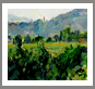 Art, landscapes and paintings, gallery of artist Carolyn Zaroff, fine art, galleries,oil paintings,landscape paintings,painter,Impressionists, artists, California wine country paintings,hawiian art gallery,tropical landscape,galleries,hawaiian islands,hawaii flowers,visual arts,hawaiian art,pictures,plein air,wine art,wine wall art,vineyard paintings,Napa Vineyards,Sonoma wineries arts