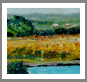Art, landscapes and paintings, gallery of artist Carolyn Zaroff, fine art, galleries,oil paintings,landscape paintings,painter,Impressionists, artists, California wine country paintings,hawiian art gallery,tropical landscape,galleries,hawaiian islands,hawaii flowers,visual arts,hawaiian art,pictures,plein air,wine art,wine wall art,vineyard paintings,Napa Vineyards,Sonoma wineries arts