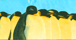 Penguins