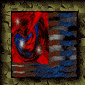 the flag