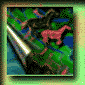 riptide and horses