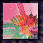 yucca