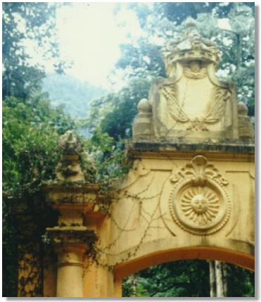 Rio de Janeiro's Botanical Garden / Jardim Bot�nico do Rio de Janeiro - Rio de Janeiro, RJ