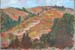 land_IMG_3562